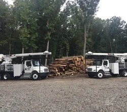 2022 Terex XT PRO 60/70 MOUNTED ON 2022 FREIGHTLINER BUSINESS CLASS M2 106 Bucket Trucks / Service Trucks for Rent