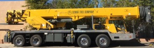 2007 Grove TMS700E