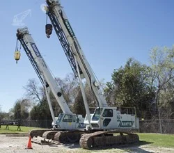 2006 Mantis 6010