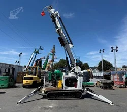 2010 SDP EZ HAULER
