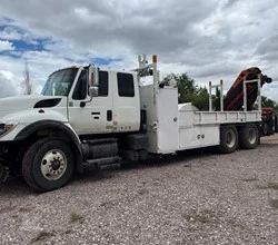 2006 PALFINGER PK21502 MOUNTED ON 2008 INTERNATIONAL WORKSTAR 7500