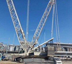 2007 Terex Demag CC 2500