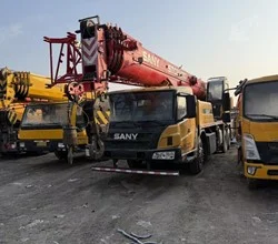 2020 SANY STC250T5