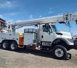 2008 ALTEC D4060ATR MOUNTED ON 2008 INTERNATIONAL WORKSTAR 7600