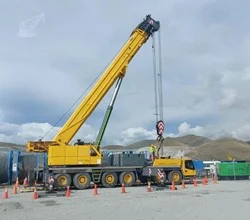 2008 Grove GMK6300