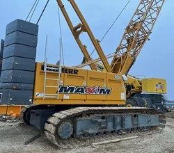 2006 Liebherr LR1100