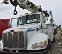 2007 TEREX COMMANDER 4047 MOUNTED ON 2007 PETERBILT 335