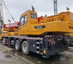 2010 SANY STC250H