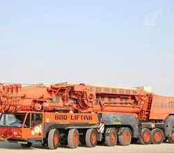 2008 Terex DEMAG AC 700