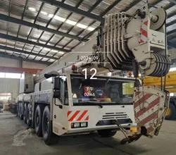 2010 TEREX DEMAG AC 250-1