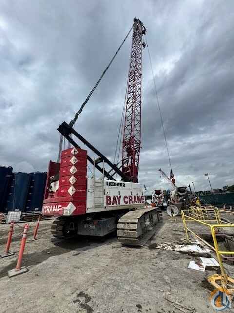 2008 Liebherr LR 1100 Lattice Boom Crawler Cranes for Sale