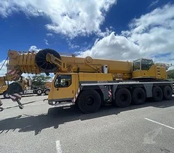 2007 Liebherr LTM1220-5.2
